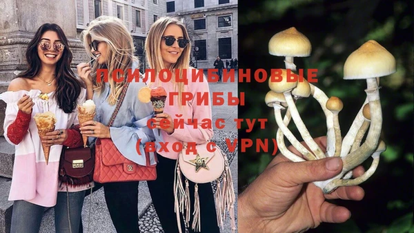 герыч Абинск