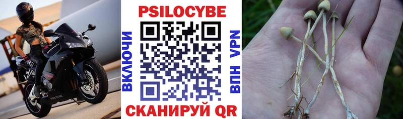 Псилоцибиновые грибы ЛСД  где продают наркотики  Пыталово 